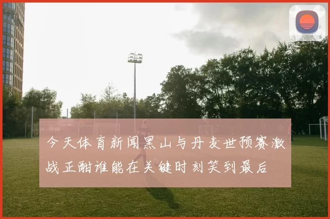 今天体育新闻黑山与丹麦世预赛激战正酣谁能在关键时刻笑到最后